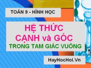 Hệ thức về Cạnh và Góc trong tam giác vuông, Bài tập vận dụng - Toán lớp 9